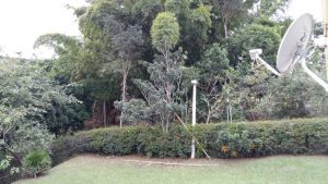 IMG-20160701-WA0039