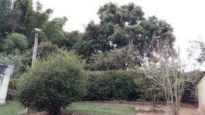 IMG-20160701-WA0047