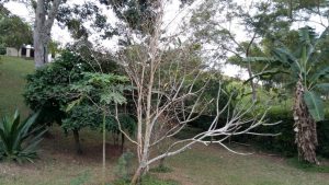 IMG-20160701-WA0051