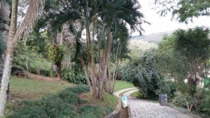 IMG-20160701-WA0055