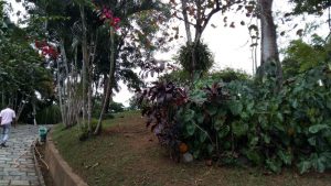 IMG-20160701-WA0056
